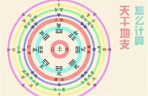 壬辰年是哪一年|壬辰年是什么意思 壬辰年五行属什么